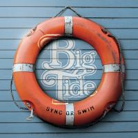 Виниловая пластинка BIG TIDE / SYNC OR SWIM (1LP)